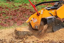 Best Lot and Land Clearing  in Bolinas, CA